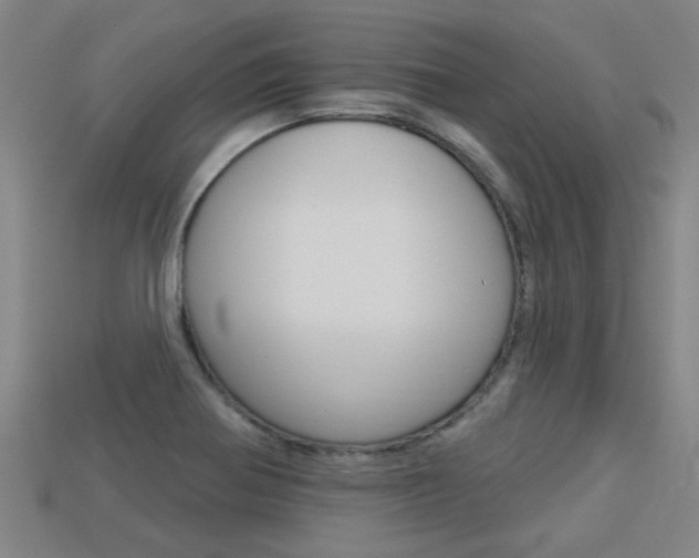 X0000113341370200909150956
