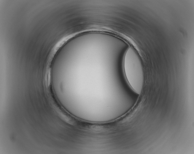 X0000113341371200909150956