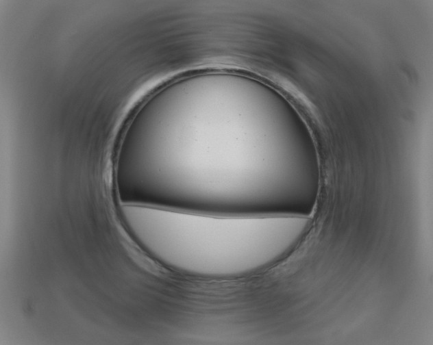 X0000113341372200909150956