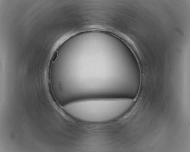 X0000113341373200909150956