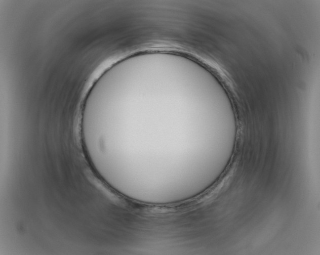 X0000113341374200909150956