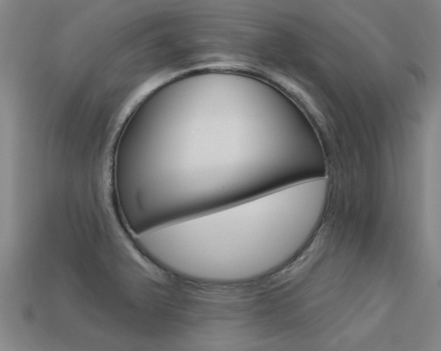 X0000113341375200909150956