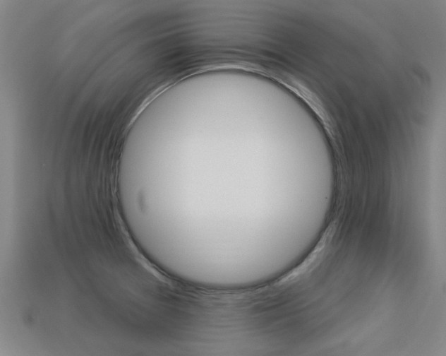 X0000113341377200909150956
