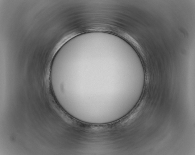 X0000113341378200909150956