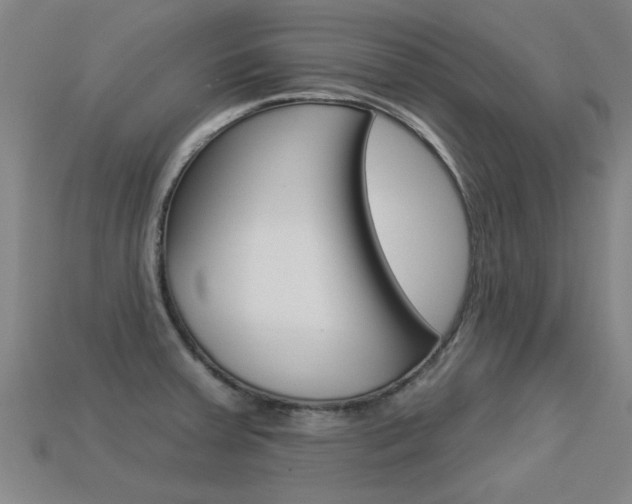 X0000113341379200909150956