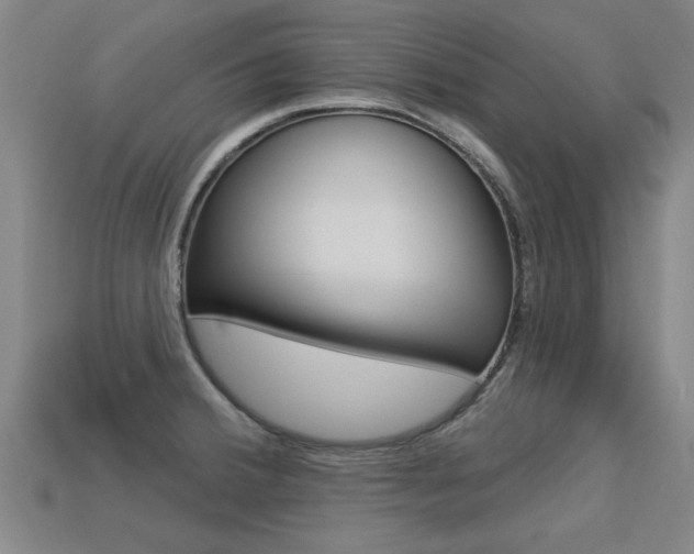 X0000113341380200909150956