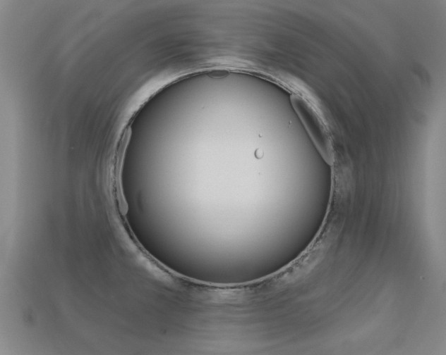 X0000113341381200909150956