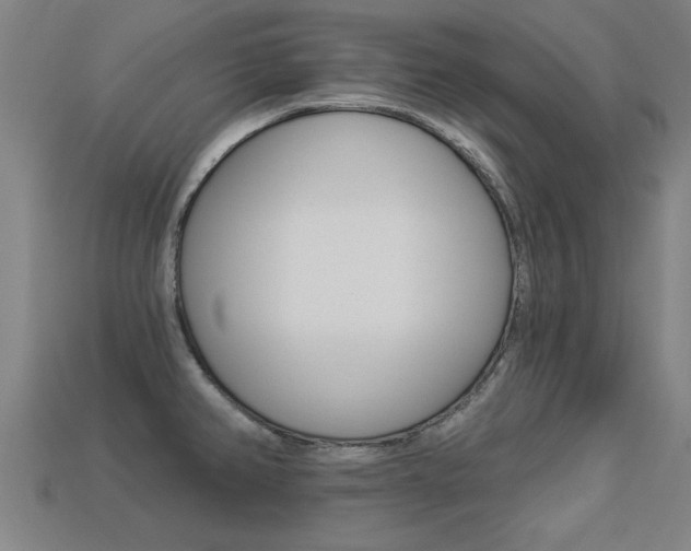 X0000113341382200909150956