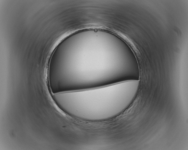 X0000113341383200909150956