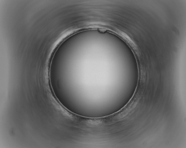 X0000113341384200909150956