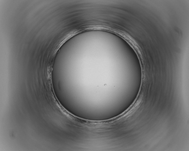 X0000113341385200909150956