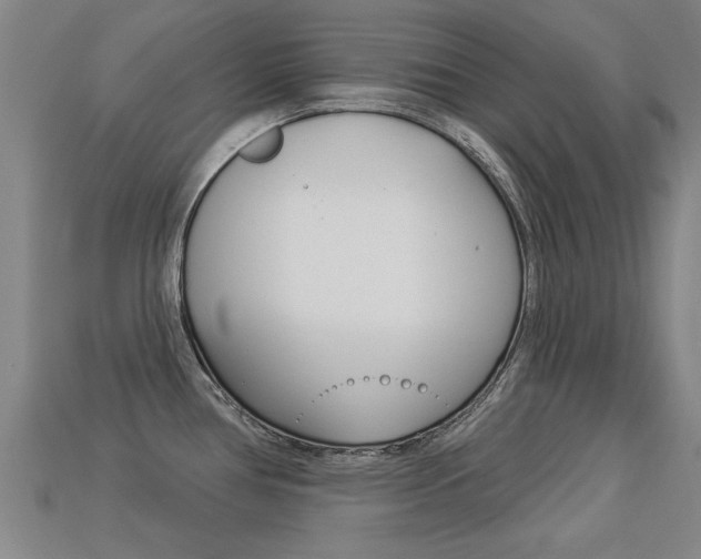 X0000113341386200909150956