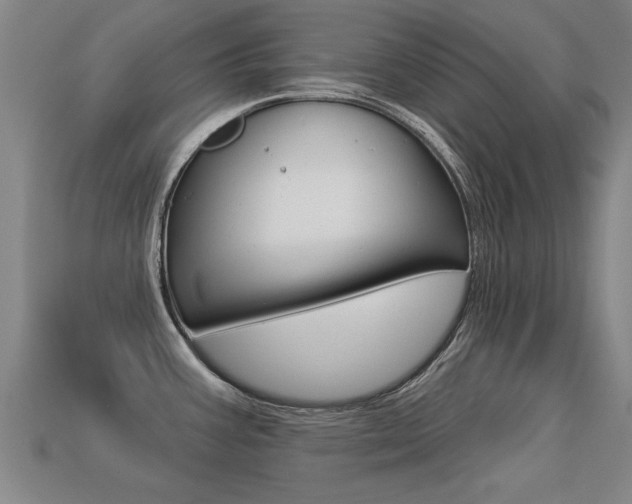 X0000113341387200909150956