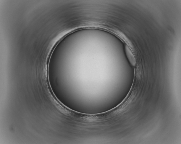 X0000113341388200909150956