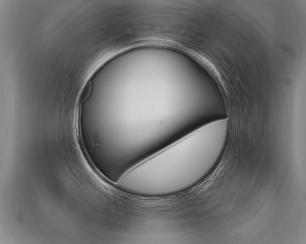 X0000113341391200909150956