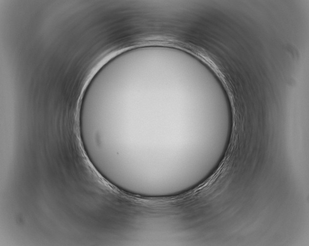 X0000113341392200909150956