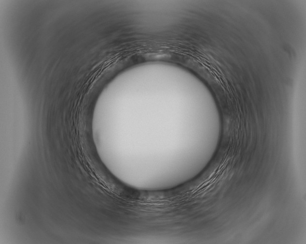 X0000113341393200909150956