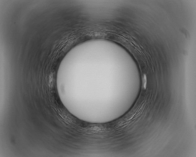 X0000113341395200909150956