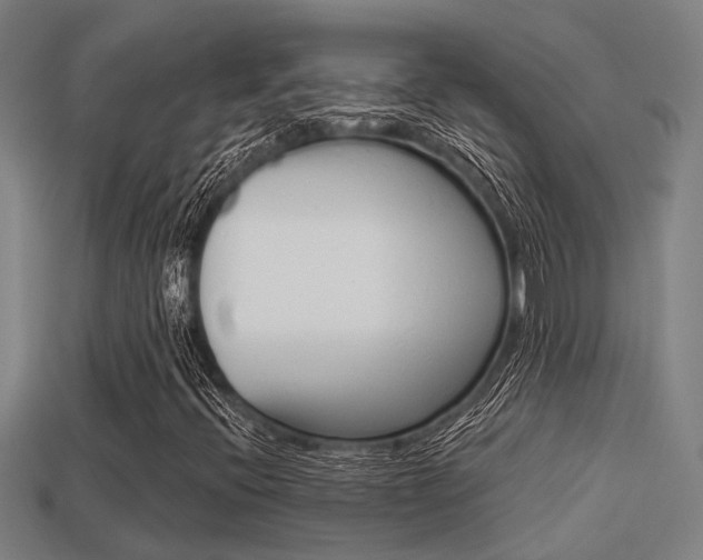 X0000113341396200909150956