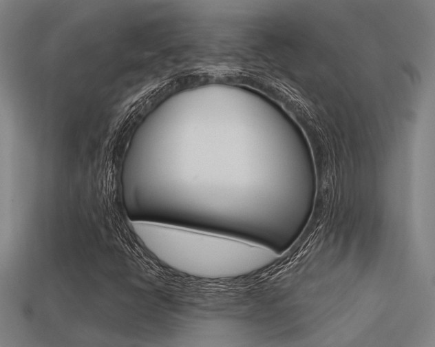 X0000113341398200909150956