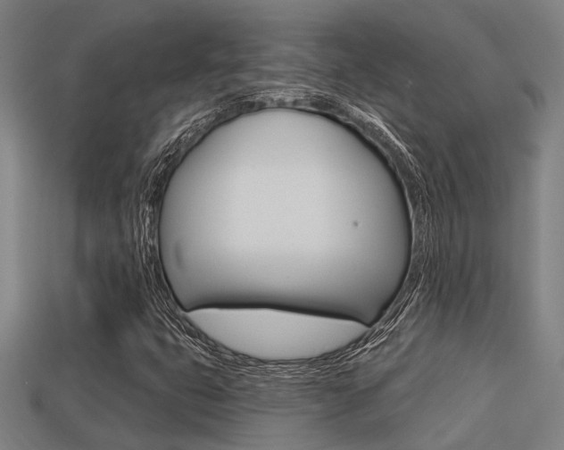X0000113341399200909150956