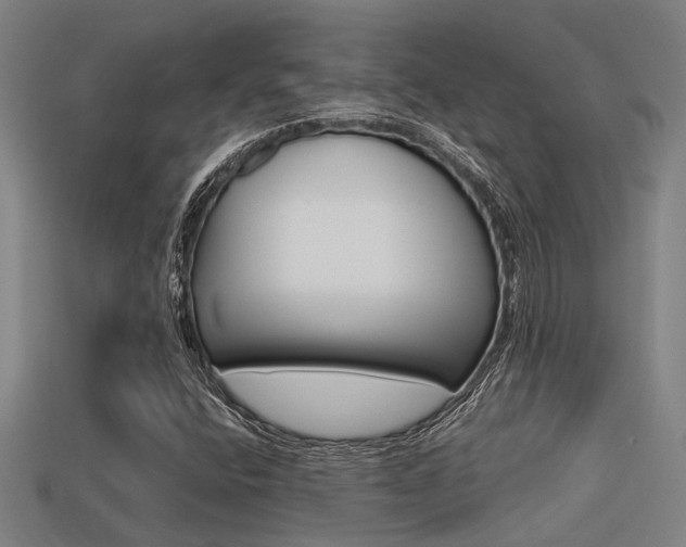 X0000113341400200909150956