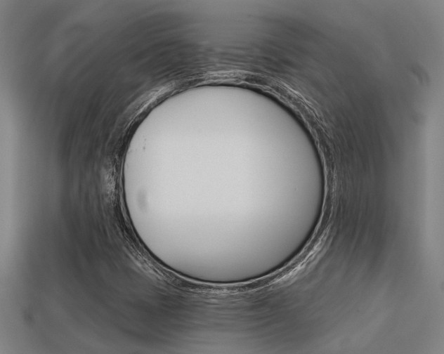 X0000113341401200909150956
