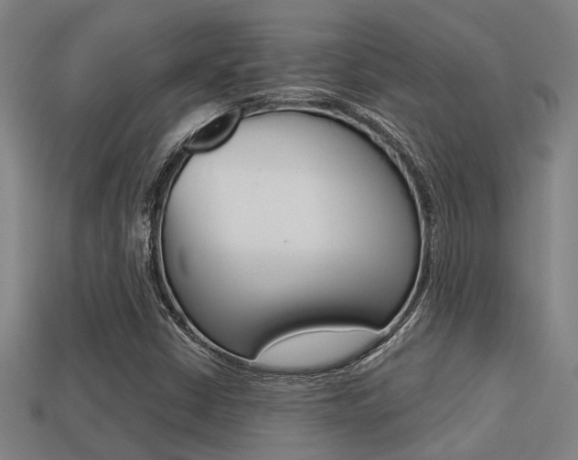 X0000113341402200909150956