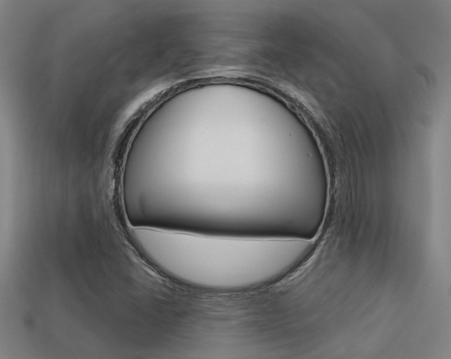 X0000113341406200909150956