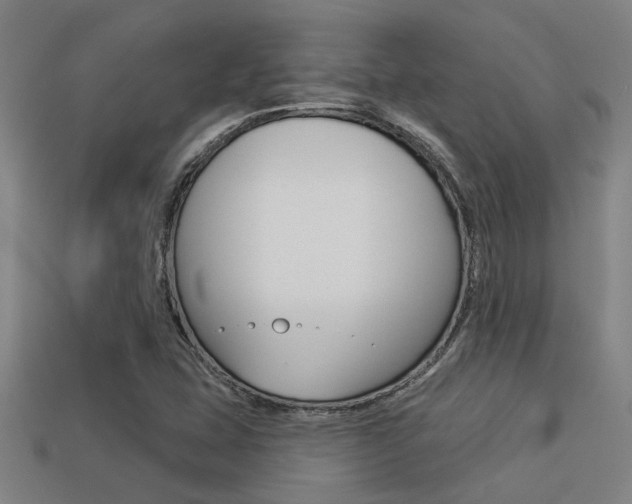 X0000113341407200909150956