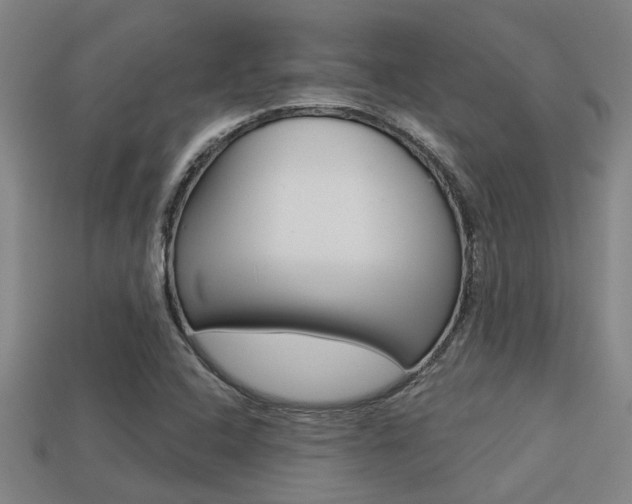 X0000113341408200909150956