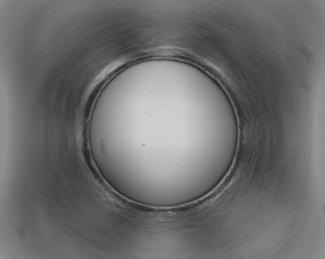 X0000113341410200909150956