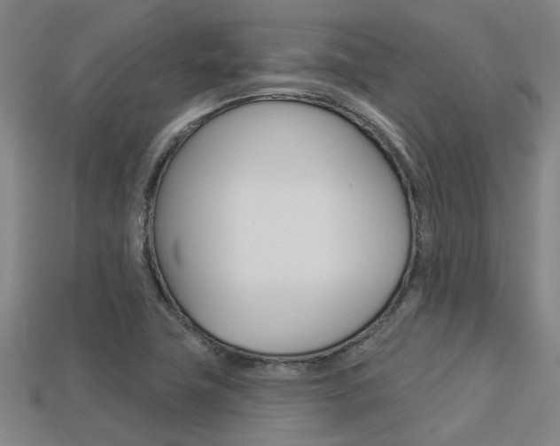 X0000113341411200909150956