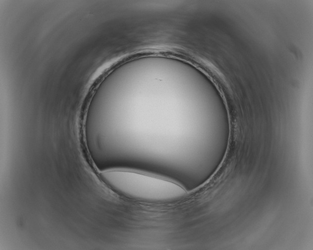 X0000113341412200909150956