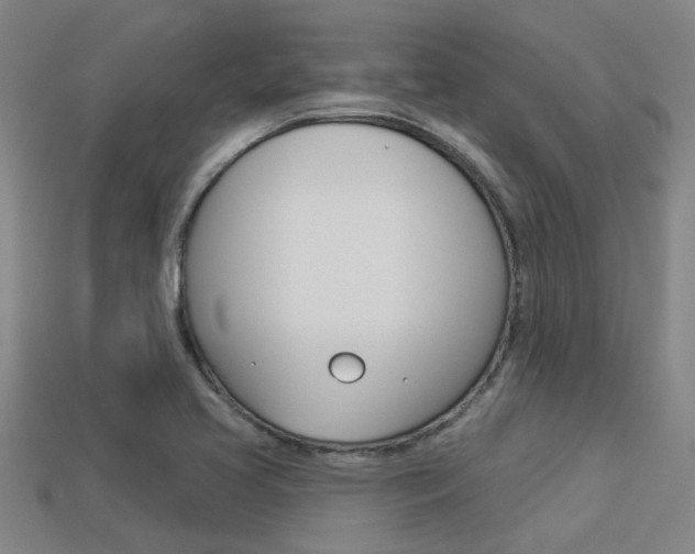 X0000113341413200909150956