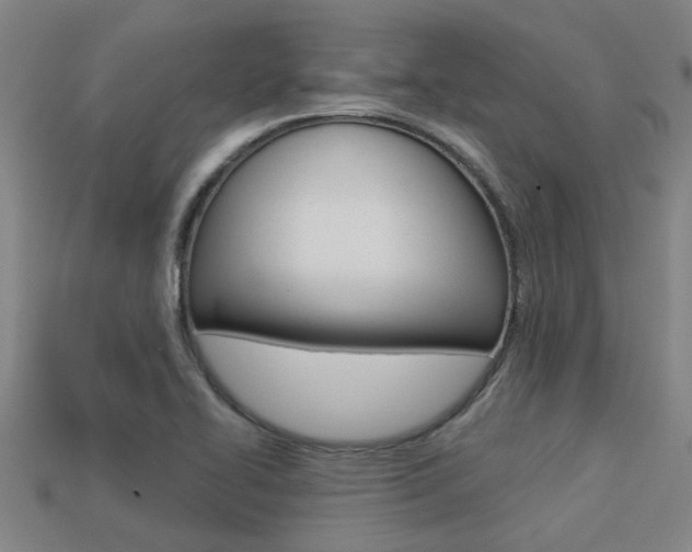 X0000113341414200909150956