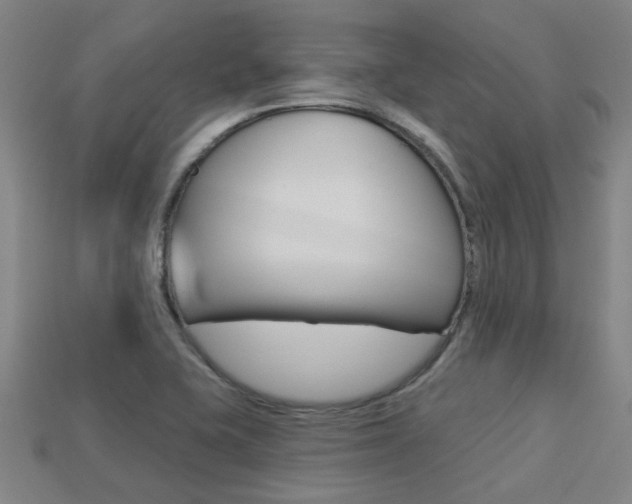X0000113341415200909150956