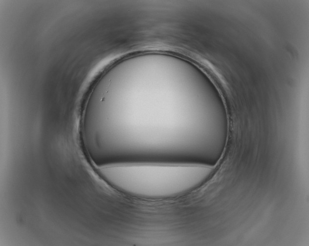 X0000113341416200909150956