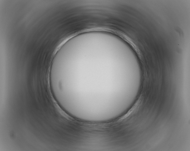 X0000113341417200909150956