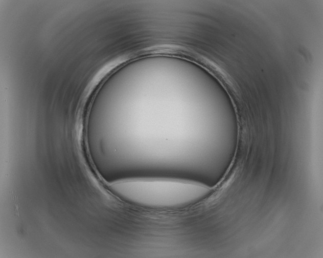 X0000113341418200909150956