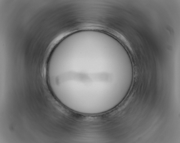 X0000113341419200909150956