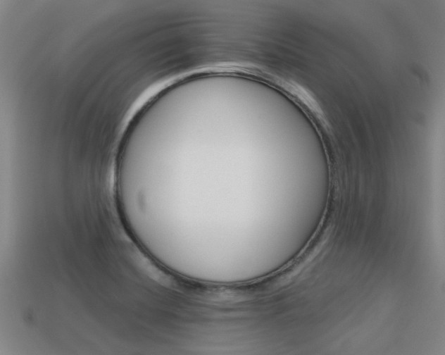 X0000113341420200909150956