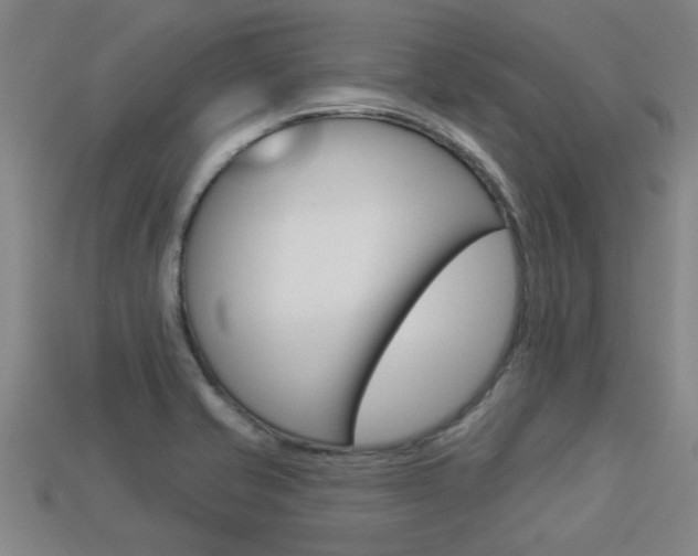 X0000113341421200909150956