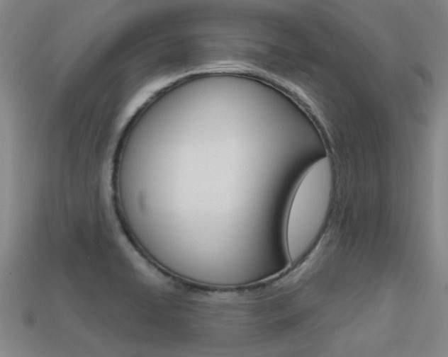 X0000113341422200909150956