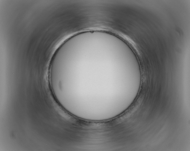 X0000113341423200909150956