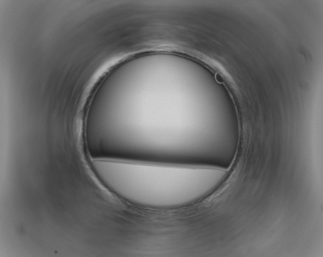 X0000113341424200909150956