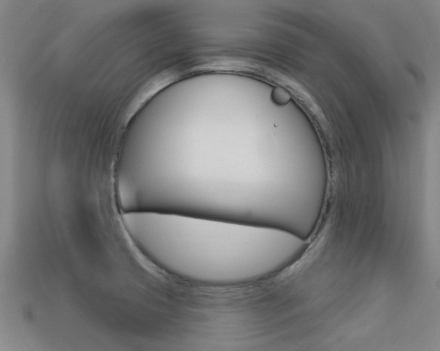 X0000113341425200909150956