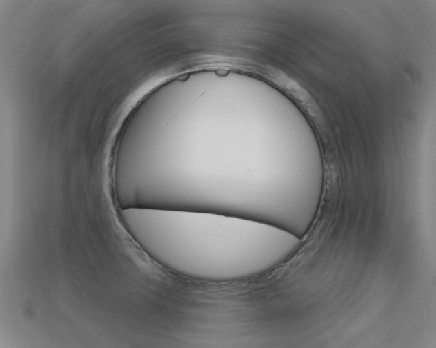 X0000113341427200909150956