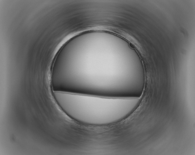 X0000113341428200909150956