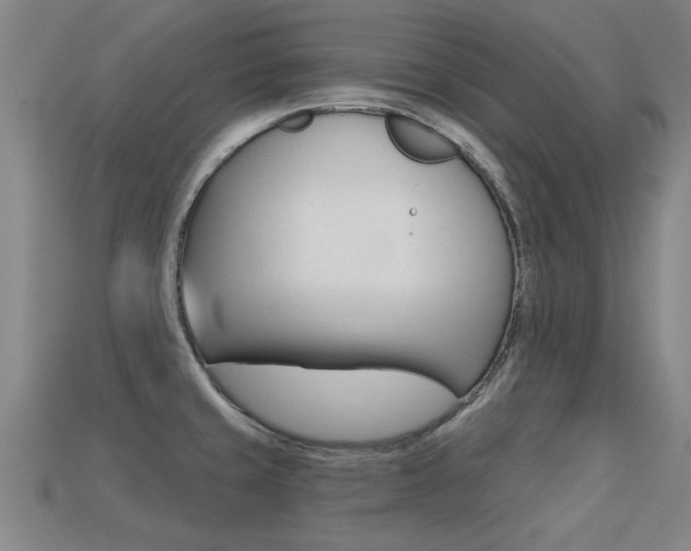 X0000113341429200909150956
